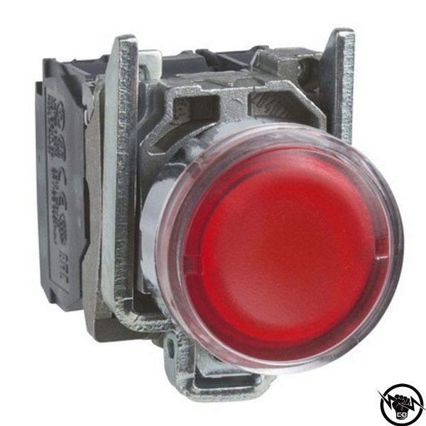 БУТОН ЧЕРВЕН