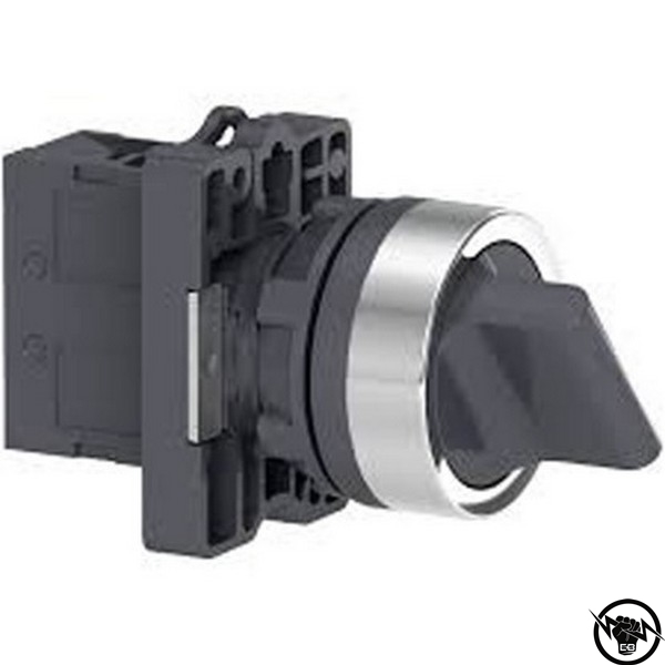 ПРЕВКЛЮЧВАТЕЛ IP54 1NO 2 ПОЗ. СЪС ЗАДЪРЖАНЕ